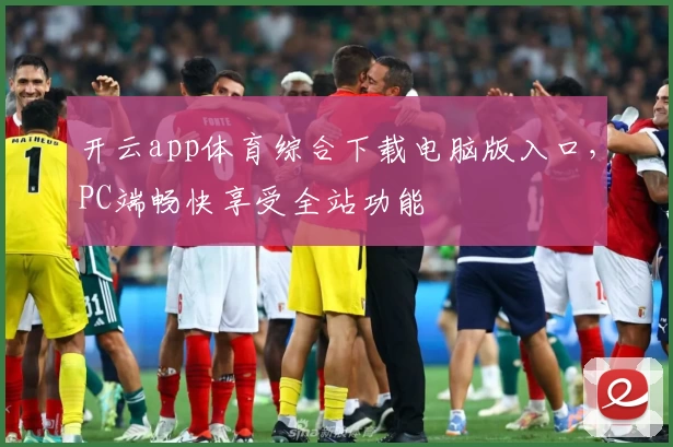 开云app体育综合下载电脑版入口，PC端畅快享受全站功能